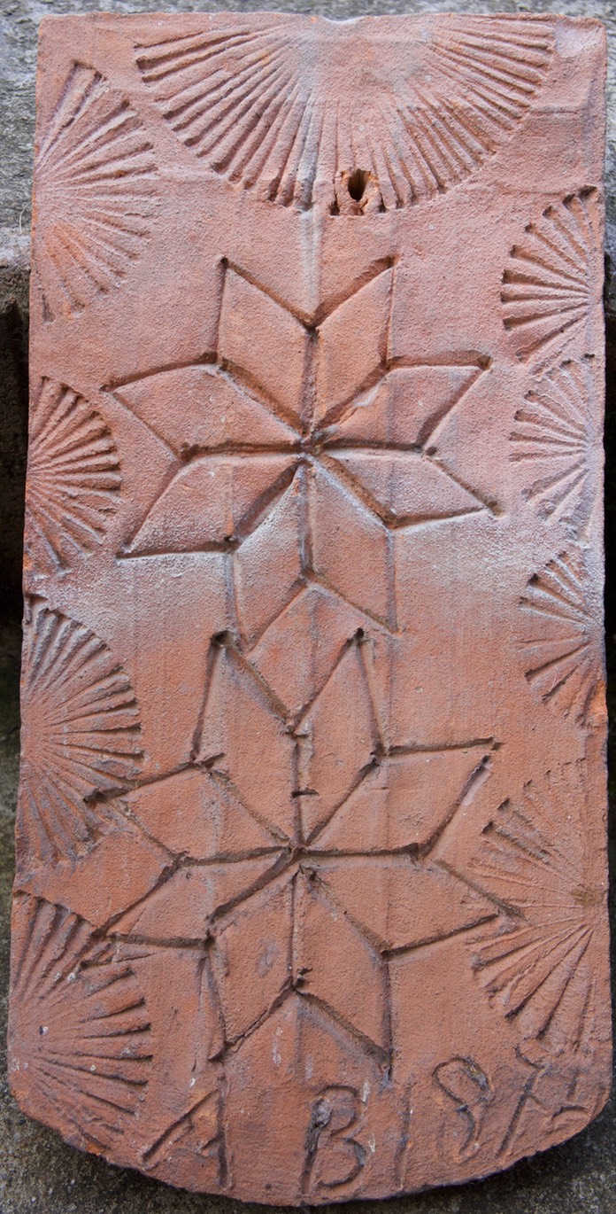 _DSC5376