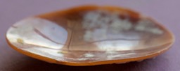 _DSC6911